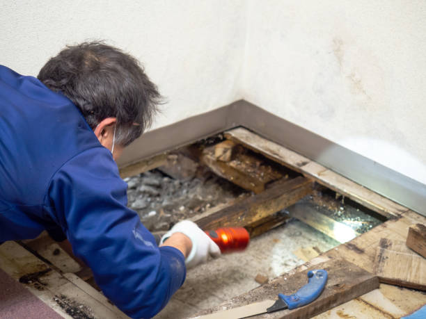 Best Office Mold Removal Services  in Millersport, OH