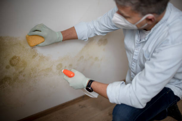 Crawl Space Mold Removal in Millersport, OH