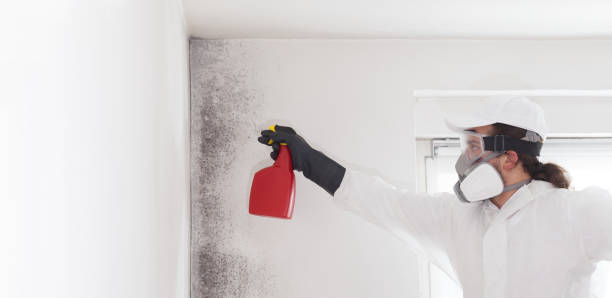 Mold Testing and Removal in Millersport, OH
