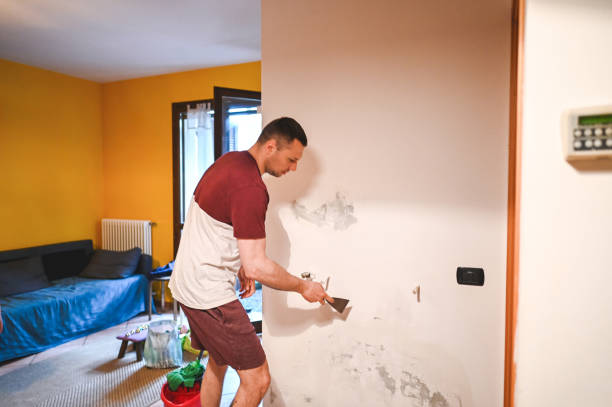 Best Mold Testing and Removal  in Millersport, OH