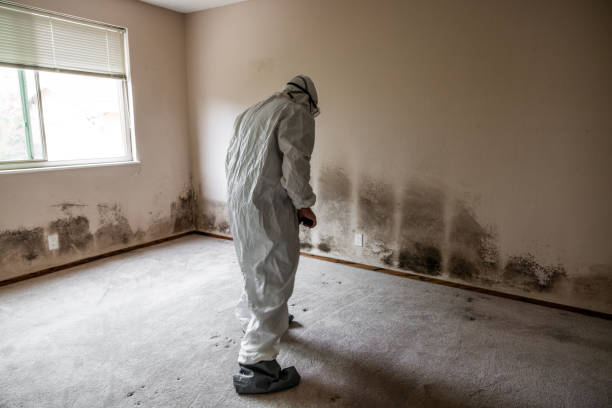 Best Residential Mold Removal  in Millersport, OH
