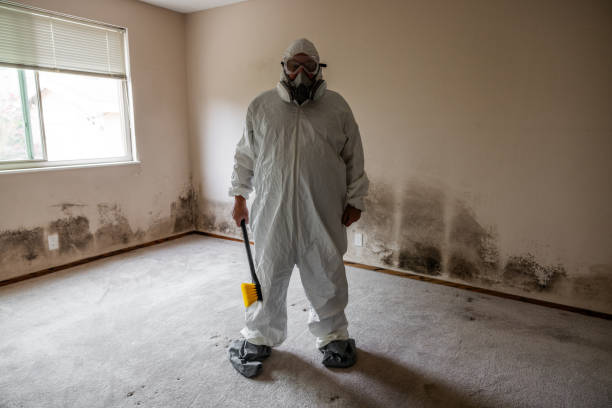 Best Mold Testing  in Millersport, OH